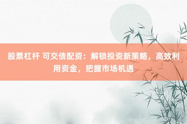 股票杠杆 可交债配资：解锁投资新策略，高效利用资金，把握市场机遇