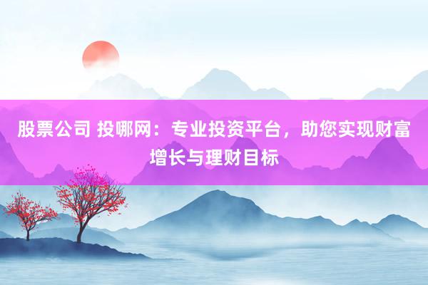 股票公司 投哪网：专业投资平台，助您实现财富增长与理财目标