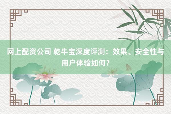 网上配资公司 乾牛宝深度评测：效果、安全性与用户体验如何？
