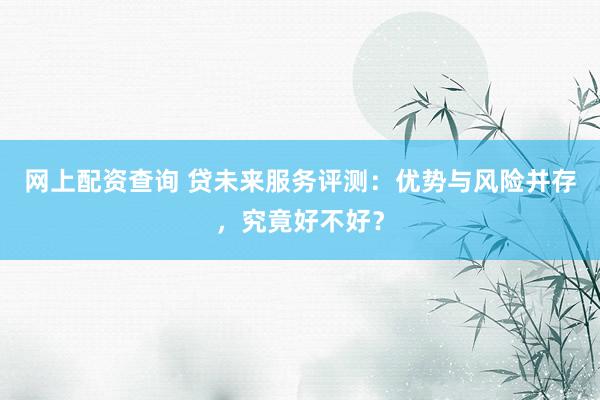 网上配资查询 贷未来服务评测：优势与风险并存，究竟好不好？