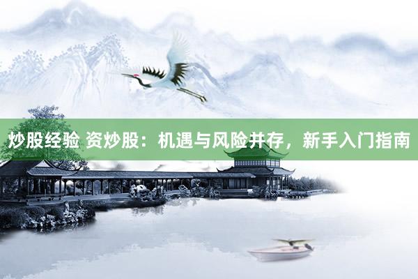 炒股经验 资炒股：机遇与风险并存，新手入门指南