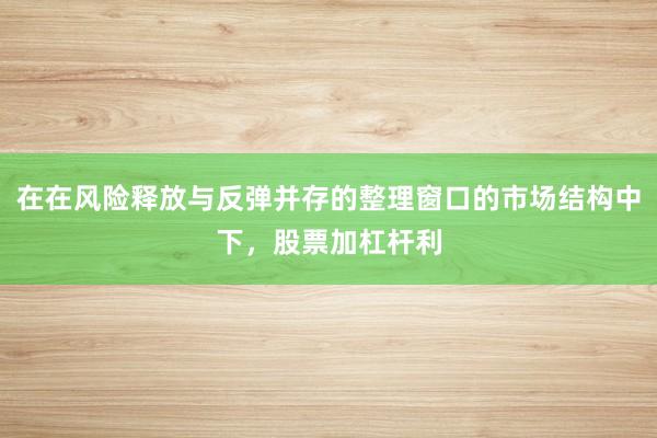 在在风险释放与反弹并存的整理窗口的市场结构中下，股票加杠杆利